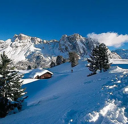 Des Alpes Hotel 3*